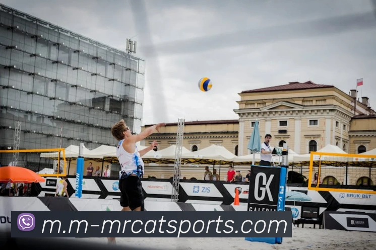 多媒体互动体验