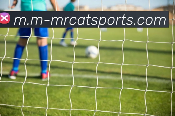 体育下注APP 高清赛事图